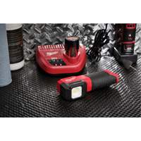 M12™ Paint and Detailing Color Match Light, LED, 1000 Lumens XJ023 | AF Pollution Abatement Systems Inc.